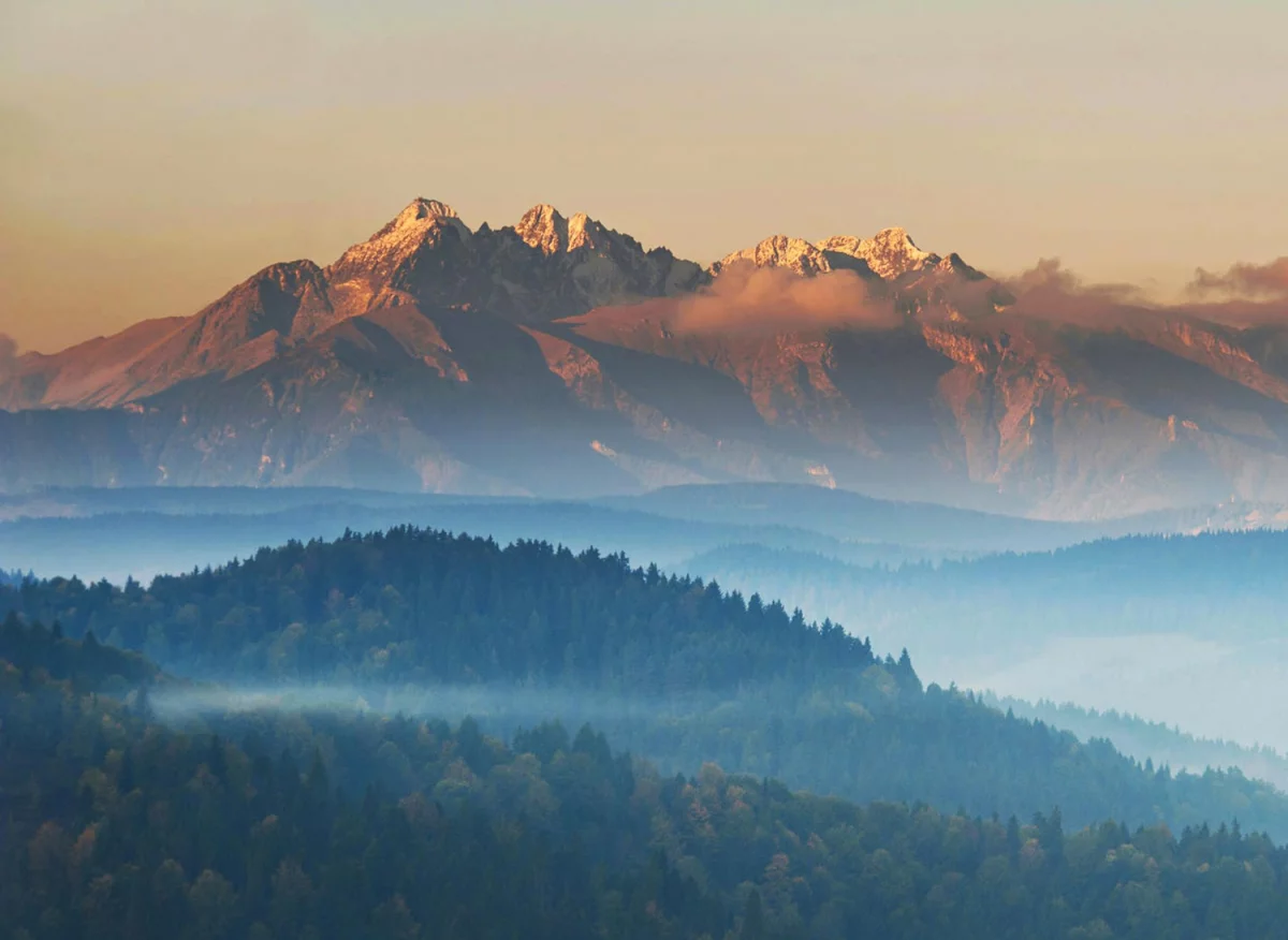 Czy 2021 będzie dobry dla ogób które chcą wypożyczyć meble?