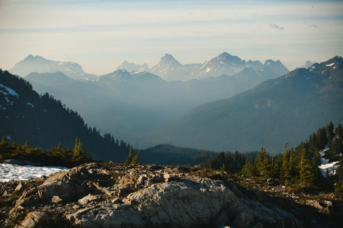 Zobacz te informacje jak obsłużyć esg w firmie