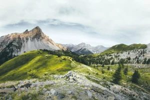 Czy można nauczyć się tańca w niedzielę handlową?